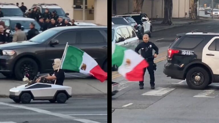 Los Angeles mini Tesla Mexican husky