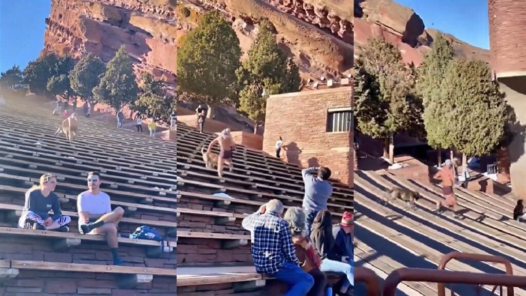 Red Rocks Park backward runner