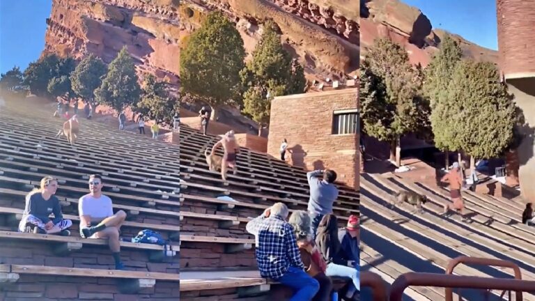 Red Rocks Park backward runner