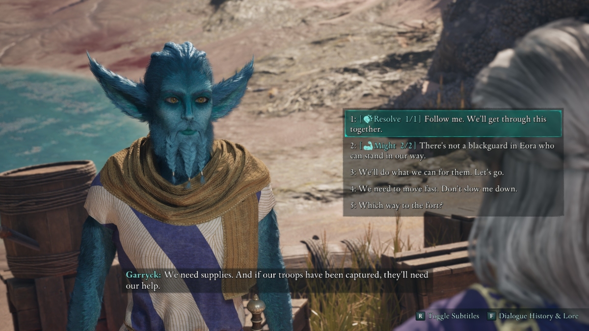 Avowed Settings for graphics