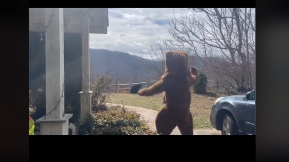 North Carolina Man Dresses in Bear Suit To Scare Off Backyard Black Bear: ‘This Could Go Horribly Wrong’