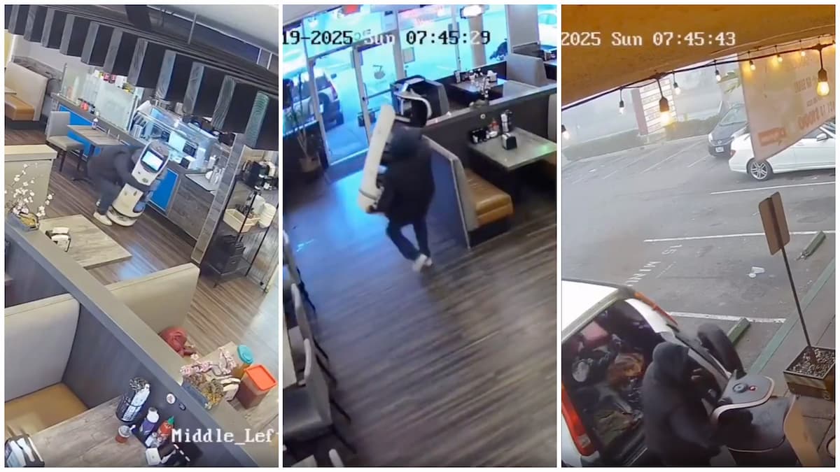 San Jose Restaurant Employees Foil Attempted Robbery of a Serving Robot in Viral Clip: ‘This Guy Must Be Really Tired of Getting up and Getting His Own Beer…🤷‍♀🤣’