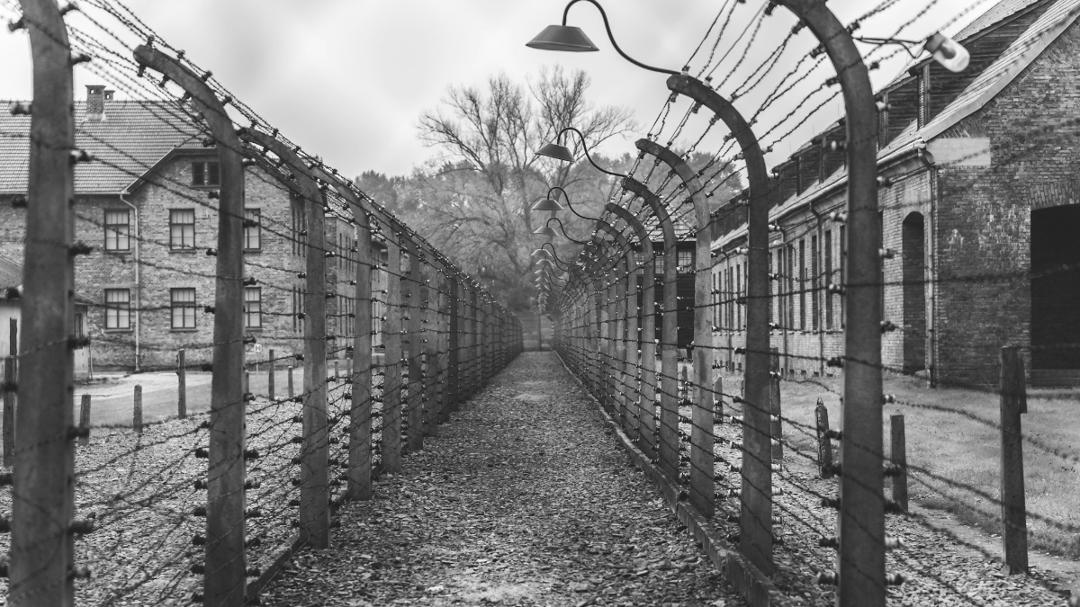Israeli Performs Nazi Salute at Auschwitz, Gets Fined: ‘Zionists Were Backing Elon Musk When He Did It ‘Cos He’s Pro-Israel’