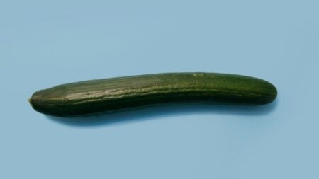 Texas sex toy