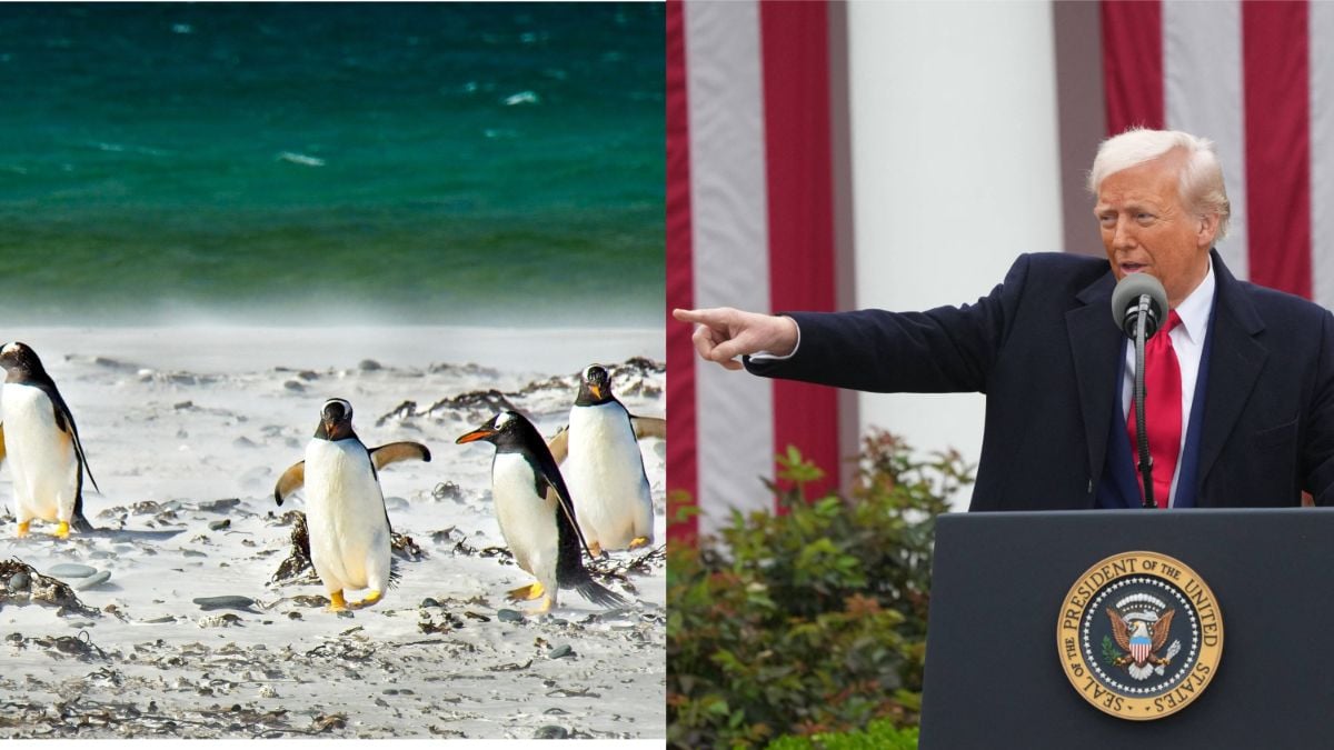 New Yorker Commerce Secretary Says Trump Imposed Tariffs on Islands ‘Where Only Penguins Live’ Because of China: ‘Those Cunning Penguins!’