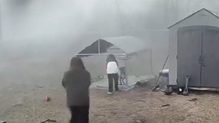 Tornado Strikes Just Seconds After Family Saves Dog in Indiana: ‘Why’d They Wait So Long?'