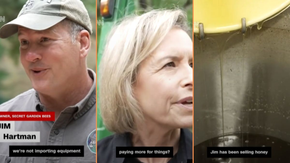 North Carolina Beekeeper Stung by Trump-Era Tariffs and Budget Cuts: ‘These People are Morons’