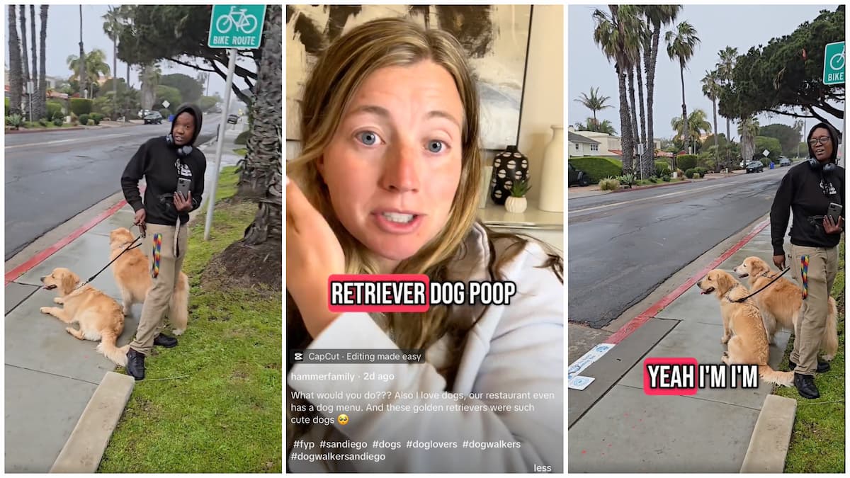 San Diego Dog Walker Slings Poop at Mom and Baby When Confronted About Doing Its Business on Their Lawn, Mom Doesn’t Press Charges: ‘She Had Perfect Aim’