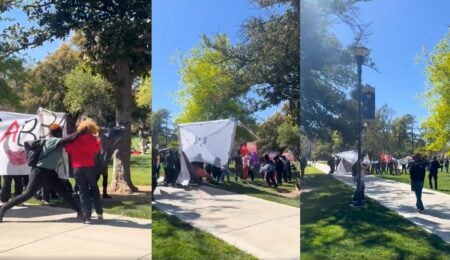 University of California, Davis protest turns ugly