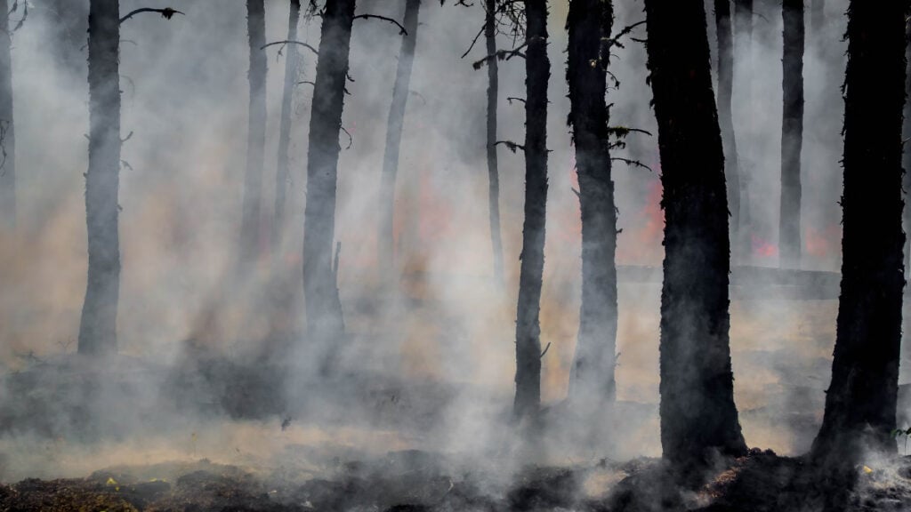 Los Angeles Residents Turn To DIY Science After Wildfire Insurance Denials: ‘It Is an Issue That This Is Even Necessary’ Los Angeles Residents Turn To DIY Science After Wildfire Insurance Denials: ‘It Is an Issue That This Is Even Necessary'