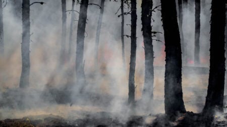 Los Angeles Residents Turn To DIY Science After Wildfire Insurance Denials: ‘It Is an Issue That This Is Even Necessary'