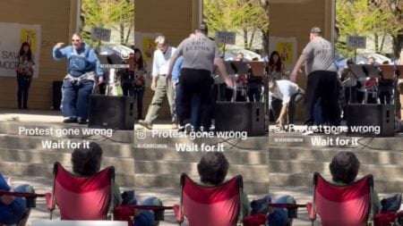 Heckler at Washington 'Hands Off!" Protest Gets Whacked With 'The Weapon': 'You Don't Like Hands Off, Ok Now We Doing Hands On!'