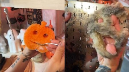 A picture of Florida woman's Scrub Daddy.