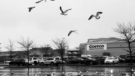 a chef in florida buys spoiled lamb from costco