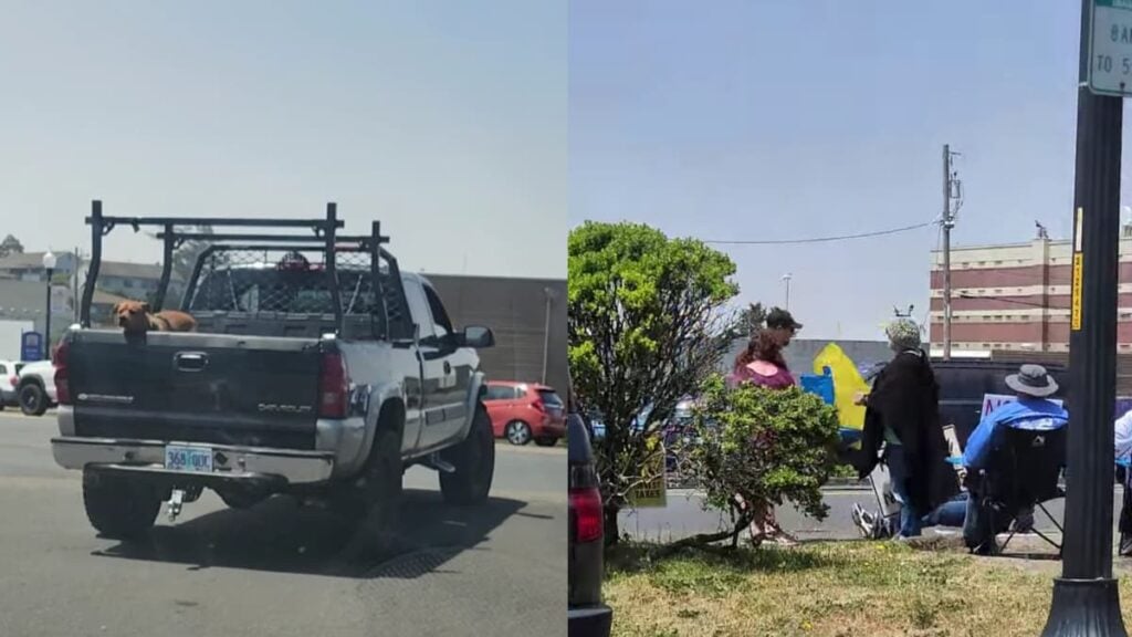 A picture of the attack in Oregon.