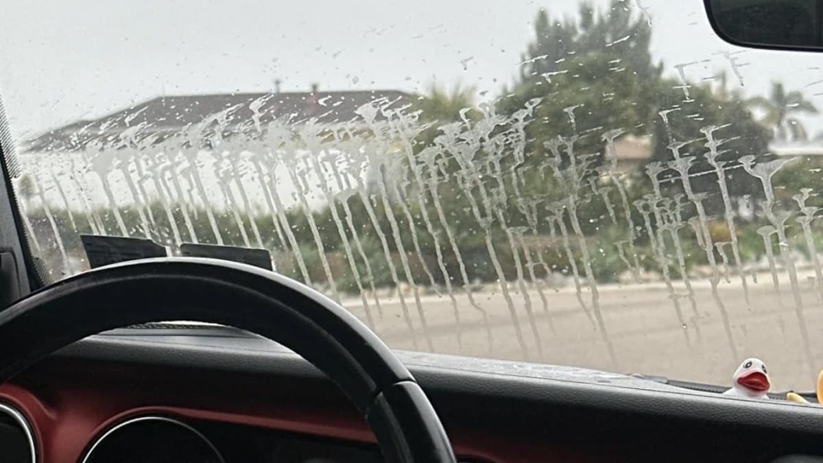 San Diego Grease-Crazed Vandal Targets Dozens of Cars: ‘Miserable and Sadistic’