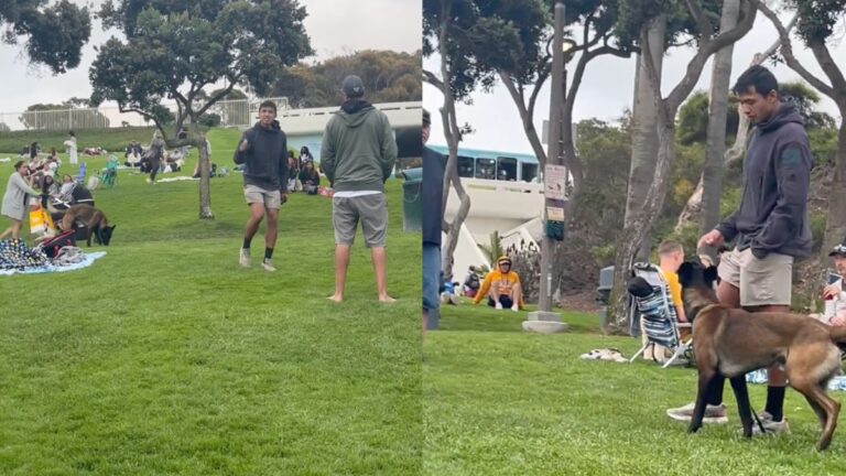 California Man Defends Leaving Dog off Leash in Public Park To Pee on People: 'My Dog Only Pees on B**thes'