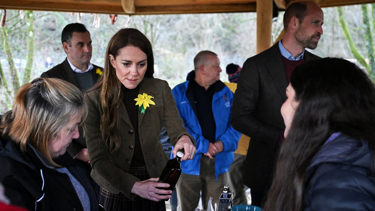 The Twisted Truth Behind Prince William and Kate Middleton’s Secret Island Getaway