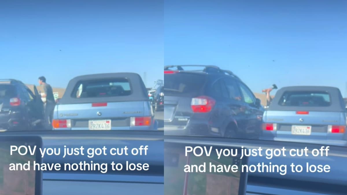 California Road Rage Incident Ends With Unhinged Driver Using Axe in Shocking Attack: ‘Survival Instincts of a Baby’