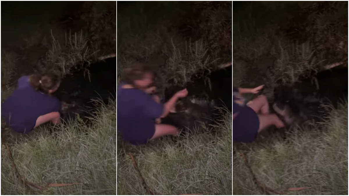 Louisiana Woman Gets Attacked by Alligator After Dipping in Swamp Despite Warning, ‘Got Off Pretty Easy’