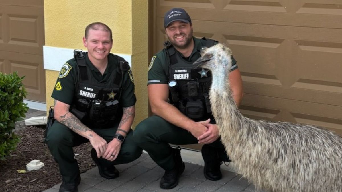 ‘Only In Florida’: Loose Emu Rescued by Police, ‘He Was Just Trying To Sell Some Insurance’