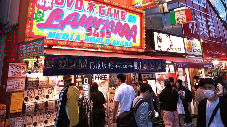 Even Video Game Surveys Reveal Japan's Shrinking Youth