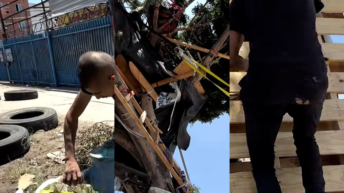 Los Angeles Officials Slammed For Demolishing Homeless Man’s Three-Story Treehouse: ‘Do Nothing Else But Destroy People’s Homes’