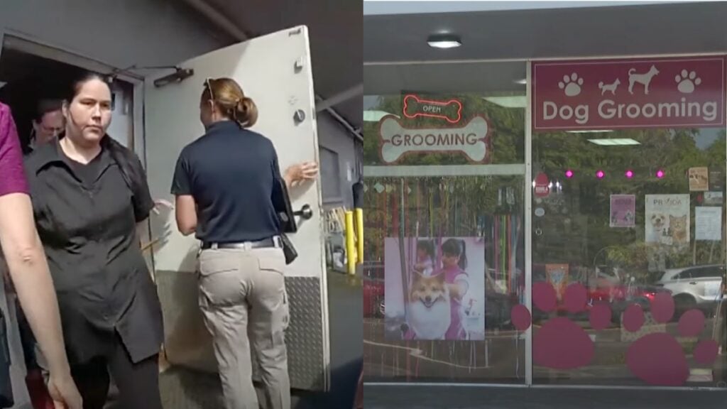 Dog Groomer Abuser in Florida