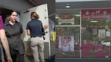 Dog Groomer Abuser in Florida