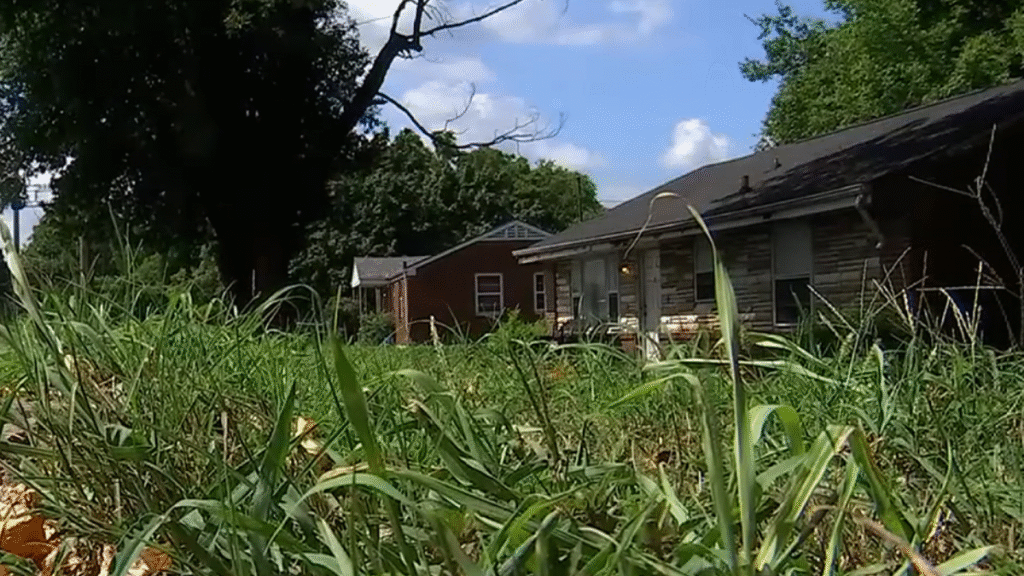 Nashville Woman Pulls Gun on 'Homeless' Man Over Dog Poop in Her Yard