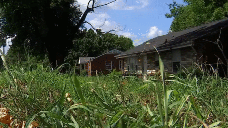Nashville Woman Pulls Gun on 'Homeless' Man Over Dog Poop in Her Yard