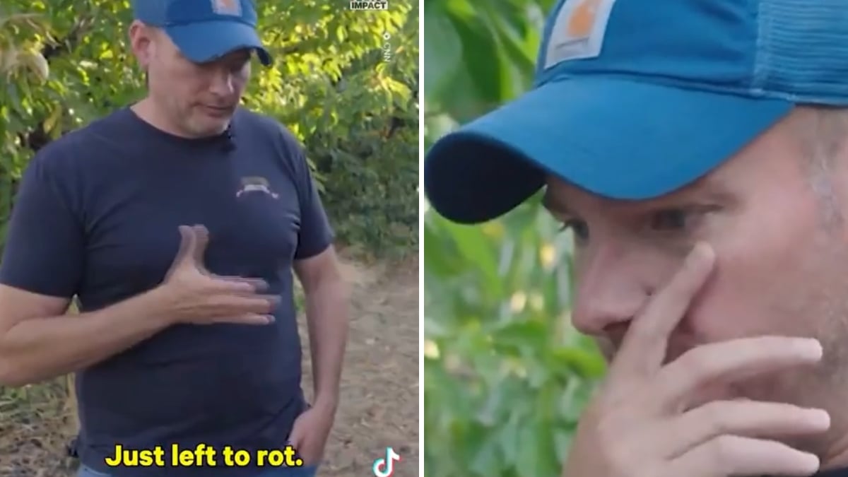 Shocked Oregon Farmer Says He Lost 300k on Revenue Due to ICE Scaring Farm Workers, ‘Welcome to Trump’s America’