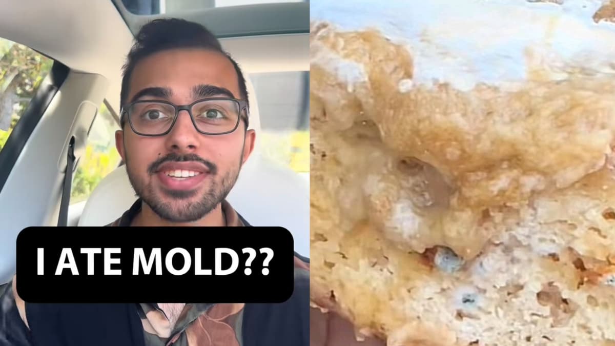 California Customer Finds Mold in Brownies and Company Blocks Him Refusing Accountability: ‘Well, Their Company Is Over’