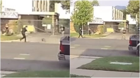 Utah dog shot