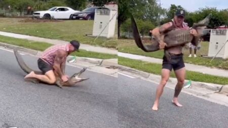 Man tackles Florida alligator