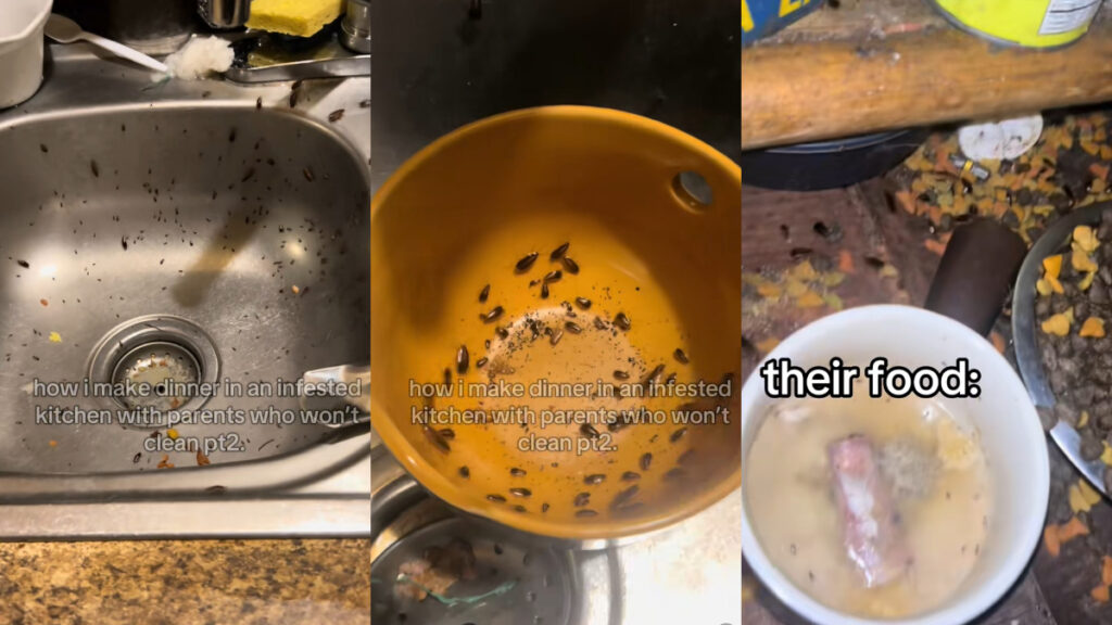 roach kitchen LA