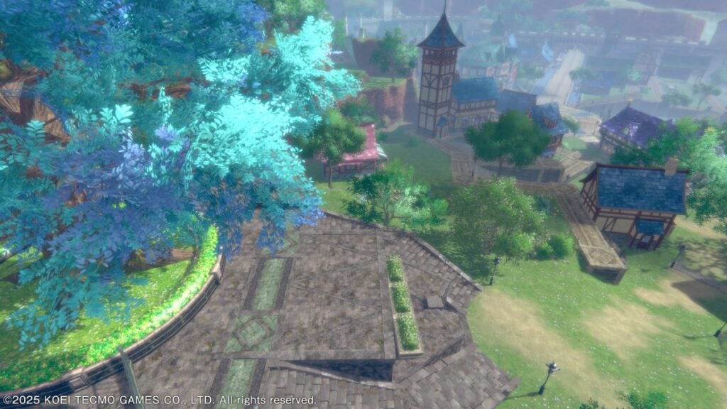 Town Management