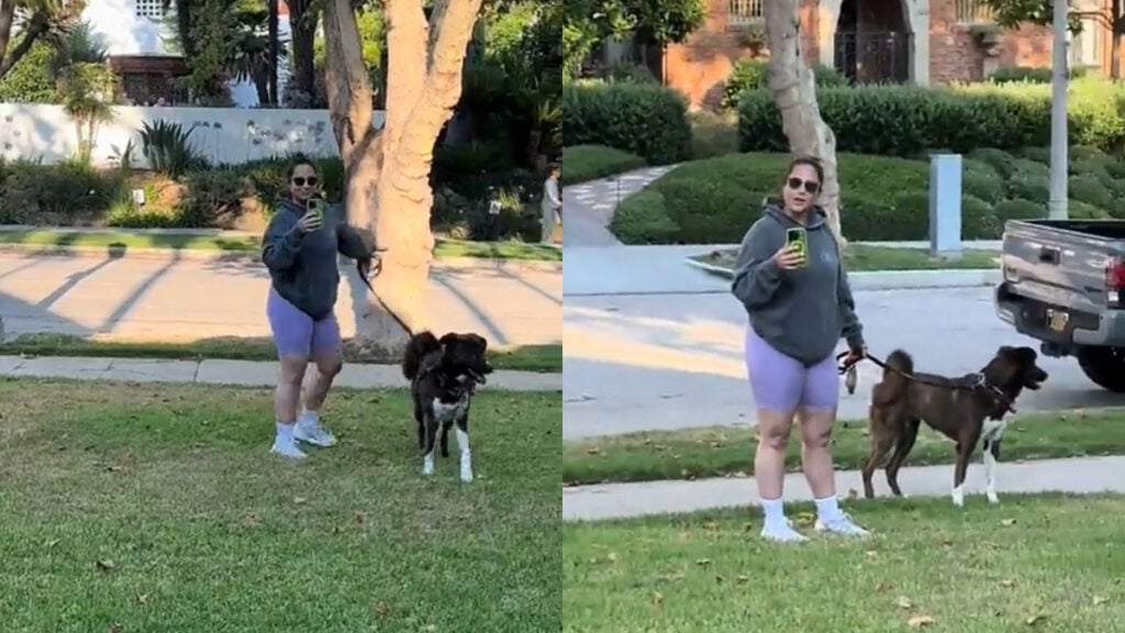 Beverly Hills Clash as Woman Lets Dog Poop on Lawn and Hurls Slur at Neighbor: ‘Time to Install Those Remote Controlled Sprinklers!’