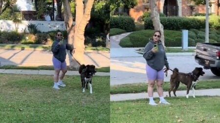 Beverly Hills Clash as Woman Lets Dog Poop on Lawn and Hurls Slur at Neighbor: ‘Time to Install Those Remote Controlled Sprinklers!’