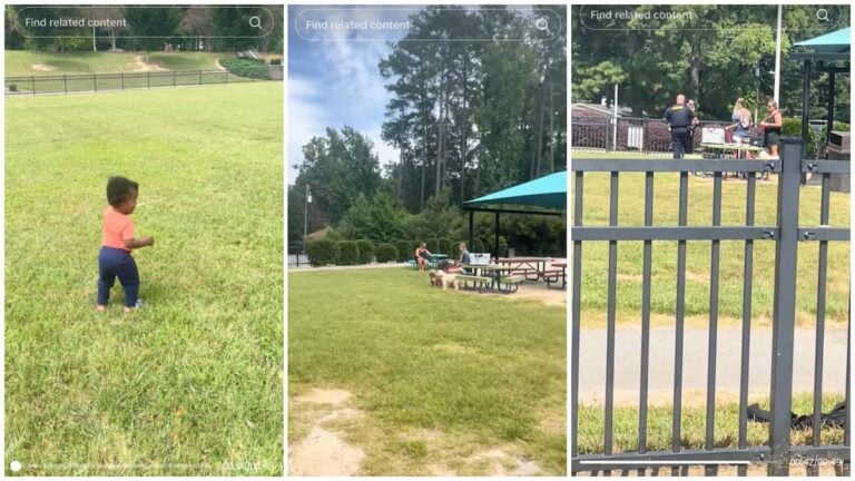 Black North Carolina Mom Takes Kid to Park, But Two White Women Call Cops on Her for 'Trespassing'
