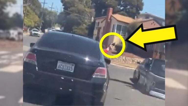 Oakland hit and run turned into a gunfight