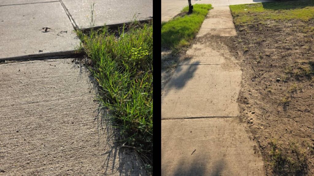 A Texas HOA Threatens Homeowner With a Fine if They Don’t Fix Their Yard Within 10 Days: ‘Plant Some Seed and Water It. It’s an Easy Fix’ Texas HOA yard fine