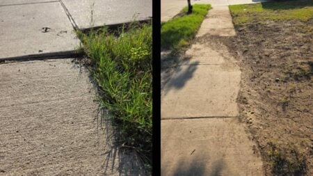 Texas HOA yard fine