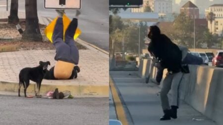 A picture of the unstable Los Angeles woman.