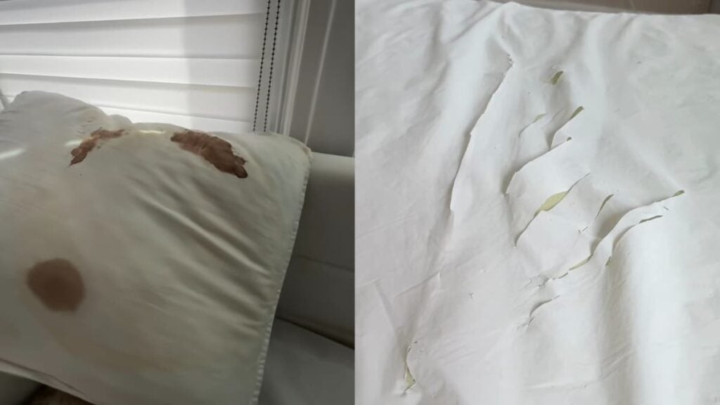 A picture of the New York Airbnb.