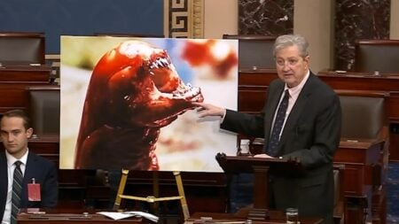 alien from radioactive shrimp by senator kennedy