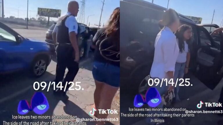 ICE police in Illinois