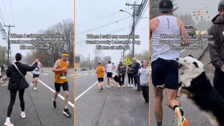 Boston Running Coach Gets Bit By Dog During Marathon Run 'Bringing a Herding Breed to a Marathon is Crazy Work'