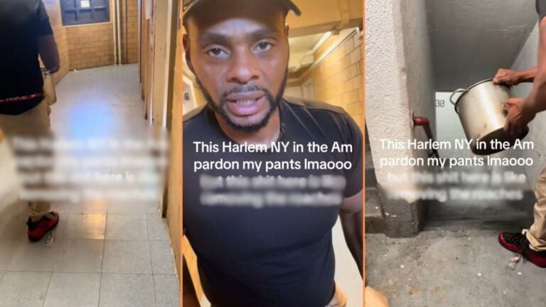 Harlem Locals Show Unconventional Way of Removing Homeless from Building 'He's Not Wrong. IDC How it Looks.
