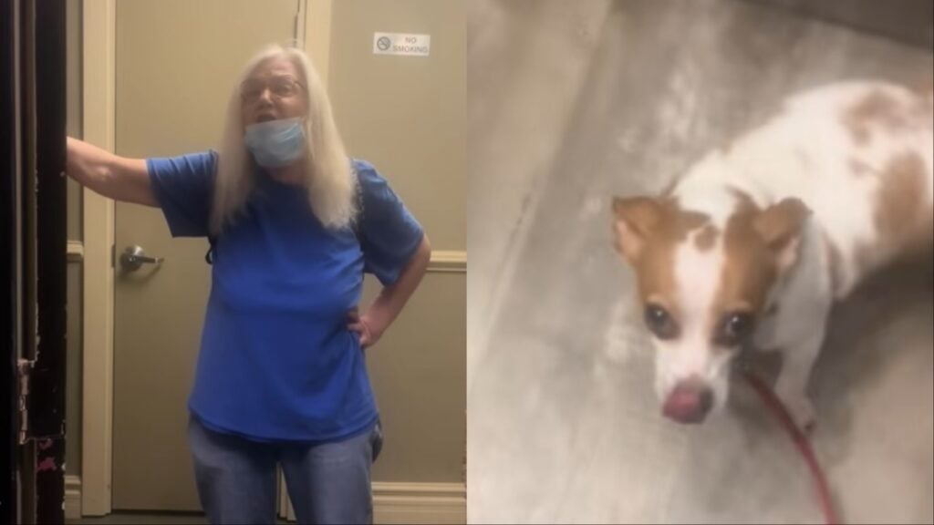 Kentucky Man Gets Help From Neighbors During Elevator Dog Dispute: ‘Dogs Can Sense Evil’ Kentucky Karen hates on cute dog